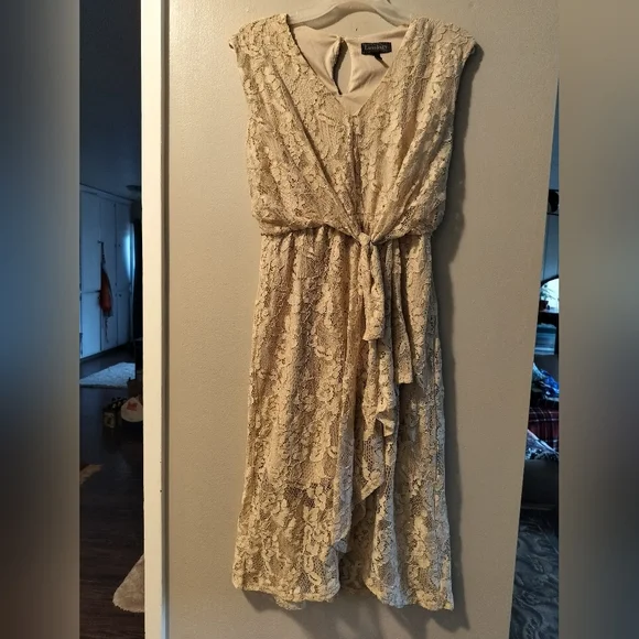knee length dresses for ladies Heirloom Lace Gown | Liylah